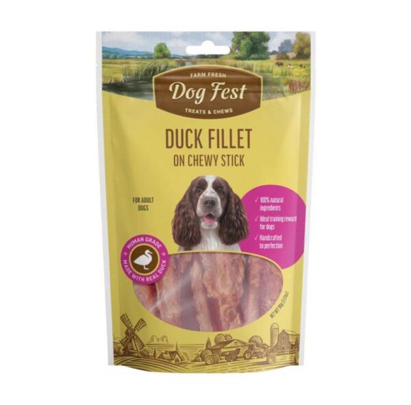 Pardifilee närimiskondil keskmistele ja suurtele koertele, DogFest, 90g